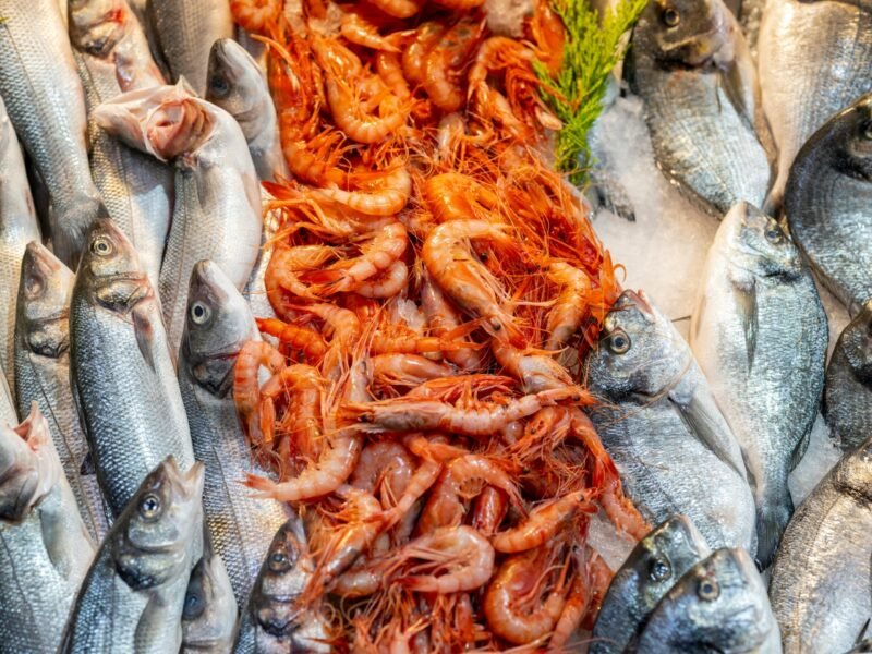 A vibrant display of fresh fish and shrimp at a seafood market.