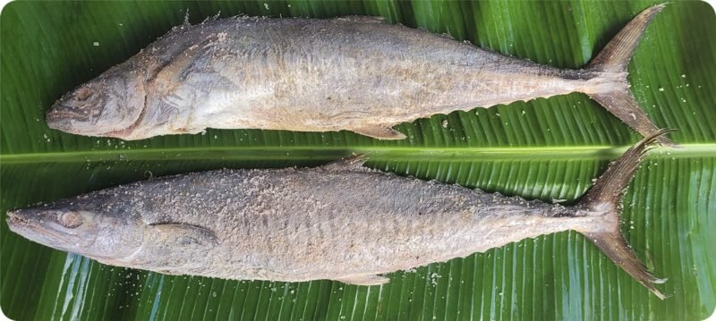 Pattarai Karuvadu (பட்டறை கருவாடு)