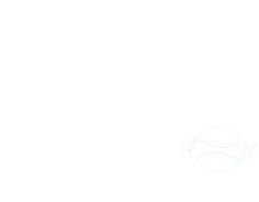 tintudryfish.com