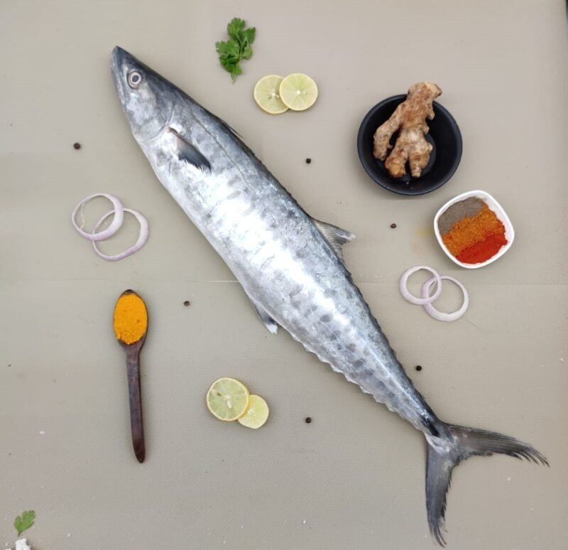 Tuna fish (சூரை மீன்)