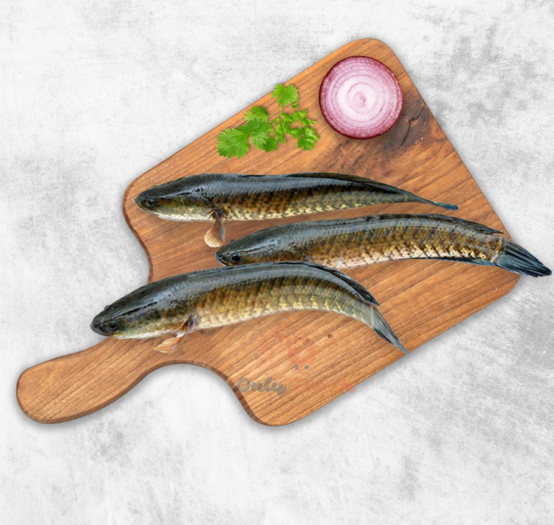 Eel Dry fish (விலாங்கு)